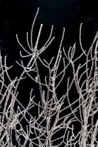 Historias minimas.06