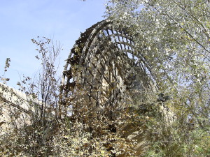 Noria de la Albolafia absorbida por la vegetación de ribera.