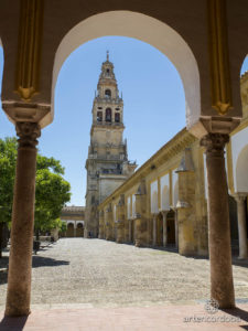MEZQUITA CATEDRAL CORDOBA PATIO NARANJOS 10