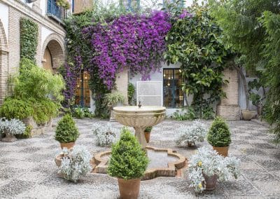 PALACIO VIANA PATIO CANCELA