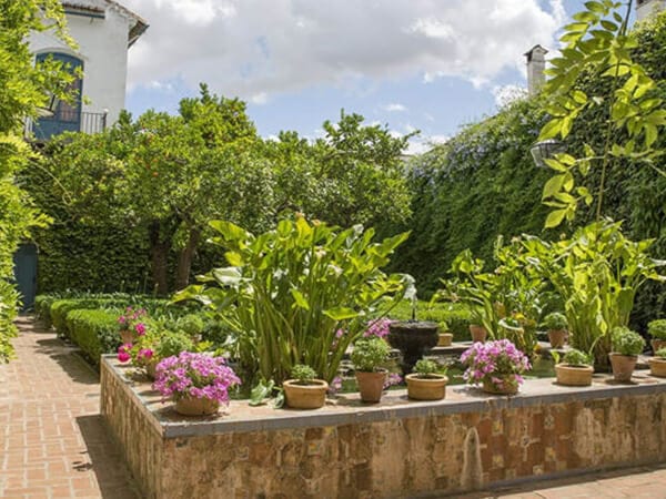 Visita Guiada a los Patios de Viana
