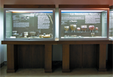 Sala dedicada a la Prehistoria en el Museo Arqueológico de Córdoba