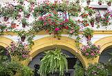 Patio de la Calle San Basilio, 14 - Córdoba Patio de la Calle San Basilio, 14 - Córdoba