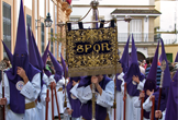 Senatus de la Hermandad de La Santa Faz en Córdoba
