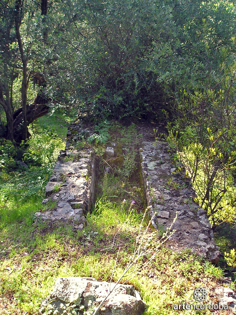 ACUEDUCTO_VALDEPUENTES_VETUS_AQUA_AUGUSTA_CORDOBA_03