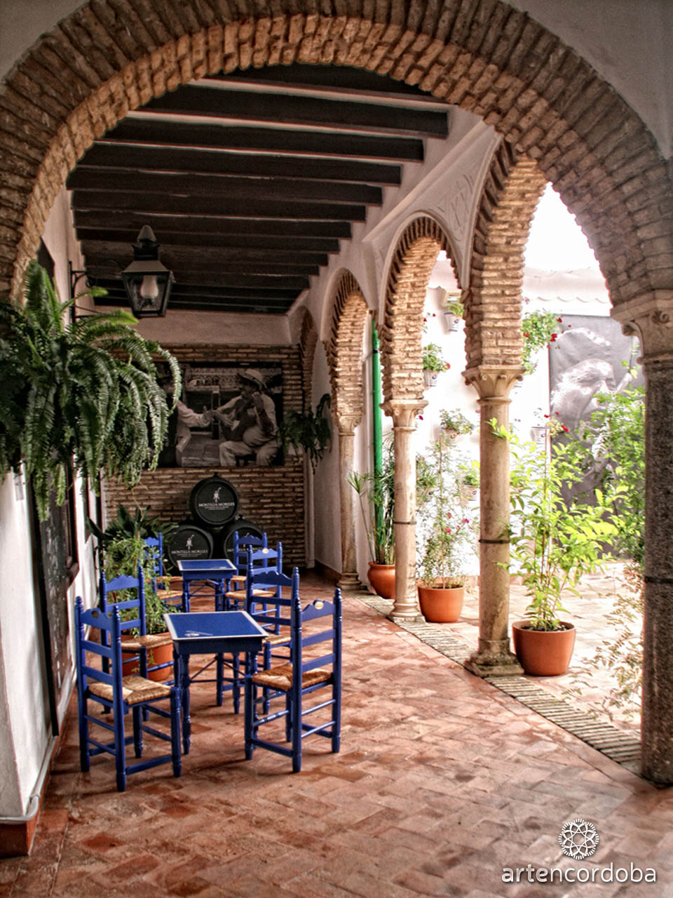 PATIO_REY_HEREDIA_CORDOBA_10