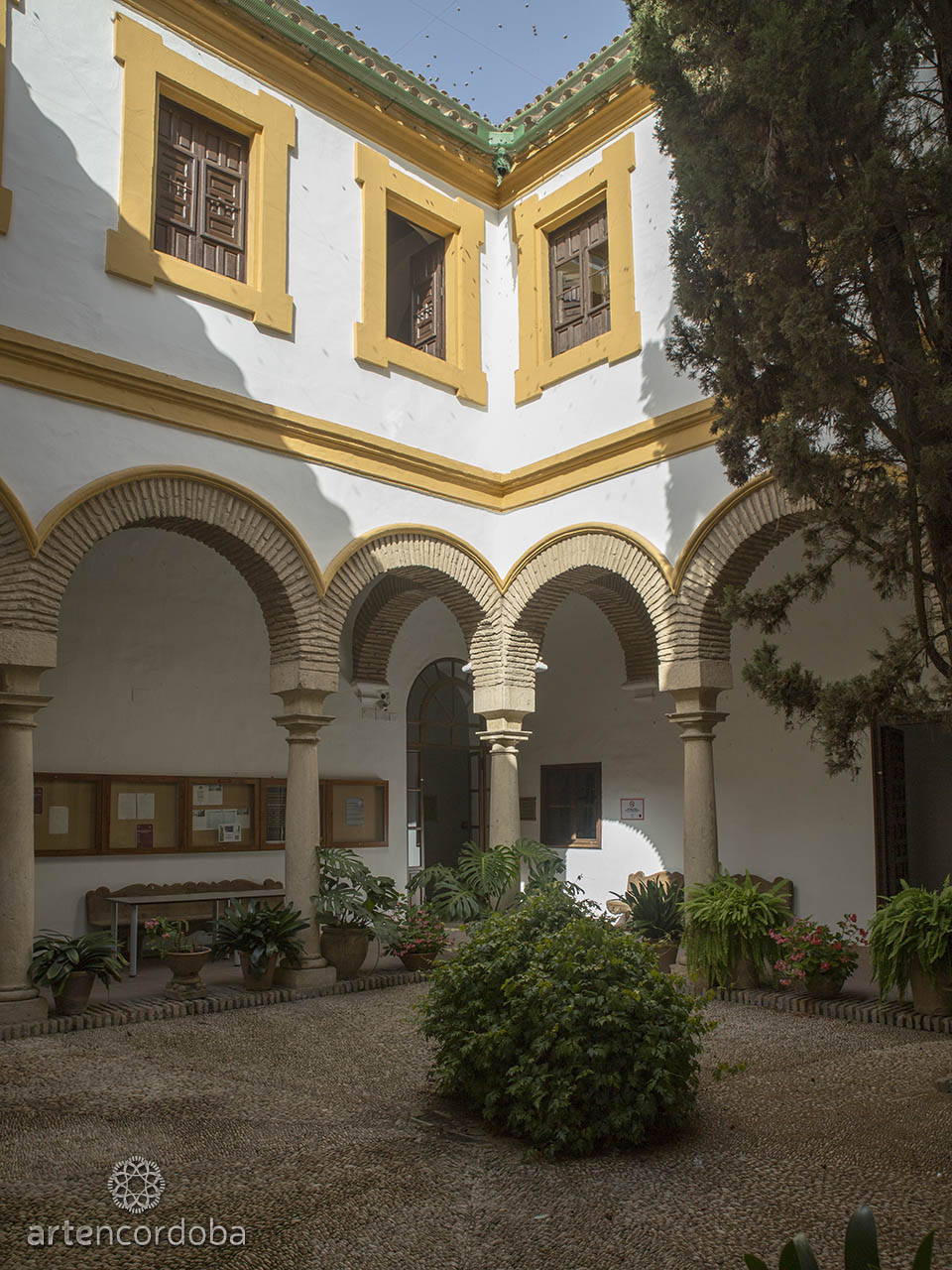 PLAZA_CARDENAL_SALAZAR_CORDOBA_06